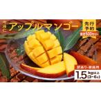 ふるさと納税 マンゴー 沖縄県 今帰仁村 訳あり・家庭用 限定500セット 今帰仁アップルマンゴー1.5kg(白箱) 生産者応援 2025年6月中旬〜8月上旬頃発送