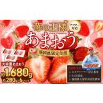 ふるさと納税 いちご 福岡県 岡垣町 予約受付 選べる大容量あまおう 1,680g 大粒 不揃い 選べる大容量あまおう (2L,グランデ,DX デラックス)減農薬 あまお…