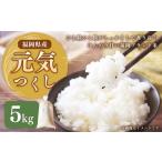ふるさと納税 米 福岡県 岡垣町 令和7年産 福岡県ブランド米「元気つくし」5kg 米 お米 白米 精米 岡垣町 2025年11月上旬より発送開始 11月上旬発送
