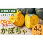 野菜類 士別産 かぼちゃ ブラックのジョー 4kg