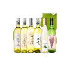 ふるさと納税 ワイン 白ワイン 山梨県 山梨市 山梨市おすすめ白ワイン6本セット(1) 1613627