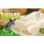 ふるさと納税 梨 大分県 日田市 期間限定 旬の日田梨お届け便 約5kg(幸水、豊水、秋月、新高、新興) 日田市 / 南国フルーツ株式会社 なし 梨 果物 フルーツ…