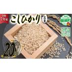 ふるさと納税 玄米 長野県 飯綱町 令和7年度産 玄米 20kg 信州 飯綱町産 コシヒカリ ( 玄米 ) 20kg 2025年10月より順次発送予定 寺島農園 こしひかり 信州 …