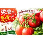 野菜類 トマト ミニトマト 計1kg