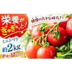 野菜類 トマト ミニ 計2kg