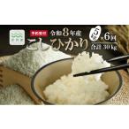 米 コシヒカリ 6回定期便 こしひかり 和知のお米 5kg