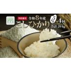 米 コシヒカリ 4回定期便 こしひかり 和知のお米 5kg