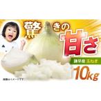 ふるさと納税 野菜類 玉ねぎ 長崎県 諫早市 諫早産新玉ねぎ 10kg / 新玉ねぎ 玉ねぎ 玉葱 たまねぎ タマネギ 野菜 やさい 10kg 甘い / 諫早市 / 松尾農園 A…