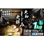 魚貝類 しじみ 宍道湖産 冷凍大和しじみLサイズ1kg 500g×2