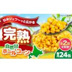 缶詰 瓶詰 野菜類 全2回定期便 自然甘ホールコーン 24缶