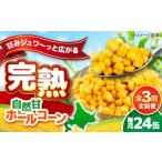 缶詰 瓶詰 野菜類 全3回定期便 自然甘ホールコーン 24缶