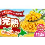 缶詰 瓶詰 野菜類 全2回定期便 自然甘ホールコーン 12缶
