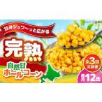 缶詰 瓶詰 野菜類 全3回定期便 自然甘ホールコーン 12缶