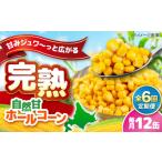 缶詰 瓶詰 野菜類 全6回定期便 自然甘ホールコーン 12缶