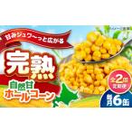 缶詰 瓶詰 野菜類 全2回定期便 自然甘ホールコーン 6缶