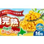 缶詰 瓶詰 野菜類 全6回定期便 自然甘ホールコーン 6缶