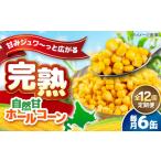 缶詰 瓶詰 野菜類 全12回定期便 自然甘ホールコーン 6缶