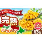 缶詰 瓶詰 野菜類 全2回定期便 自然甘ホールコーン 3缶