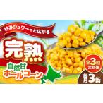 缶詰 瓶詰 野菜類 全3回定期便 自然甘ホールコーン 3缶