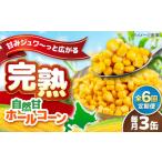 缶詰 瓶詰 野菜類 全6回定期便 自然甘ホールコーン 3缶
