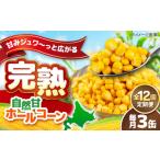 缶詰 瓶詰 野菜類 全12回定期便 自然甘ホールコーン 3缶