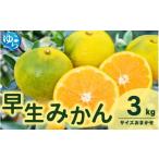 紀州 有田 みかん 秀品 3kg