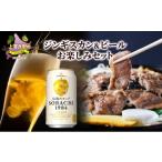 ふるさと納税 豚肉 北海道 上富良野町 北海道上富良野 ジンギスカン＆ビール　お楽しみセット
