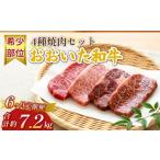 おおいた和牛 希少部位4種焼肉セット 約1.2kg