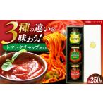 たれ ドレッシング 酢 ケチャップセット3種