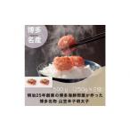ふるさと納税 魚貝類 明太子 福岡県 大川市 定期便全3回 稲石 博多名物 山笠辛子明太子500g(250g×2個)