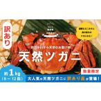 ふるさと納税 カニ 高知県 四万十市 訳あり 数量限定 天然 ツガニ 約 1kg (8〜12匹) 訳アリ 訳あり品 濃厚 うまみ 魚介 蟹 かに カニ つがに モクズガニ も…