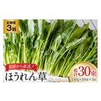 BI323 定期便 3回 ほうれん草 10束