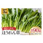 BI326 定期便 3回 ほうれん草 30束