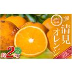みかん 清見オレンジ 約2kg