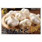 野菜類 由良町産にんにく 優品 約1.8kg