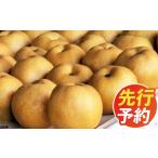 梨 大香園の梨 5.0kg