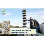 ふるさと納税 牡蠣 生牡蠣 岩手県 陸前高田市  500g×2袋 かき小屋広田湾の冷凍むき身牡蠣 加熱調理用 かき カキ 海産物 魚介類 小分け 料理 カキフライ 鍋 RT…