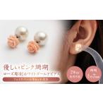 アクセサリー ピアス あなたのお気に入りNo.1に...