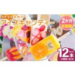 菓子 アイス 2回定期便 手作りアイスキャンディー