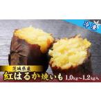 野菜類 サツマイモ 紅はるか 焼き芋 冷凍