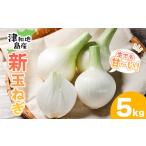 ふるさと納税 野菜類 玉ねぎ 愛媛県 松山市 先行予約 津和地新玉ねぎ 5kg 津和地ブランド玉ねぎ |玉ねぎ たまねぎ タマネギ オニオン ブランド玉ねぎ 新玉ね…