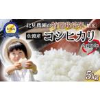 ふるさと納税 米 コシ