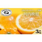 ふるさと納税 みかん�