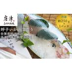 呼子のいか活造り1杯 コリコリ甘い鮮度抜群の透明感 約250g