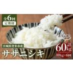 ふるさと納税 米 ササ