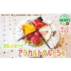 ケーキ カステラ タルト アラカルトケーキ