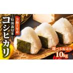 ふるさと納税 米 コシヒカリ 新潟県 新発田市 2025年12月発送 令和7年産 新米 特別栽培米 コシヒカリ 10kg 減農薬 特栽米 新潟県産コシヒカリ 新発田産 新潟 …
