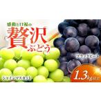 ふるさと納税 ぶどう マスカット 長崎県 長与町 シャインマスカット） 2026年8月中旬〜発送 シャインマスカット＆ブラックビート 計1.3kg以上 長与／JAじげも…