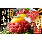 馬肉 令和8年熊本地震復興支援 馬刺し ユッケ