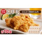 鶏肉 おおいたとり天 10袋セット 大分 おおいた